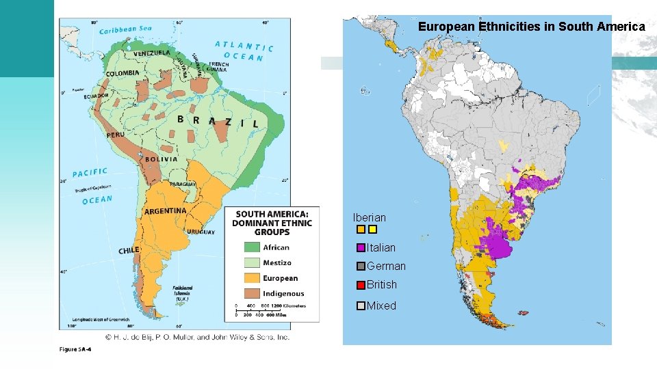 European Ethnicities in South America Iberian Italian German British Mixed 