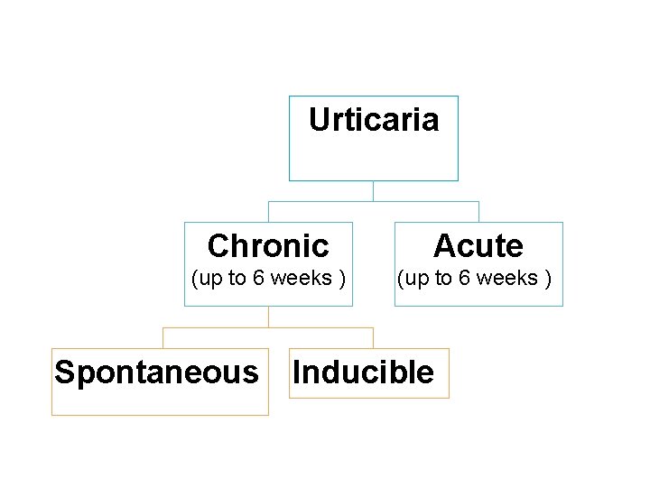 Urticaria Chronic Acute (up to 6 weeks ) Spontaneous Inducible 