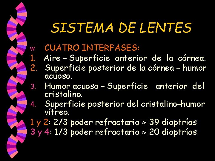 SISTEMA DE LENTES CUATRO INTERFASES: 1. Aire – Superficie anterior de la córnea. 2. SISTEMA DE LENTES CUATRO INTERFASES: 1. Aire – Superficie anterior de la córnea. 2.