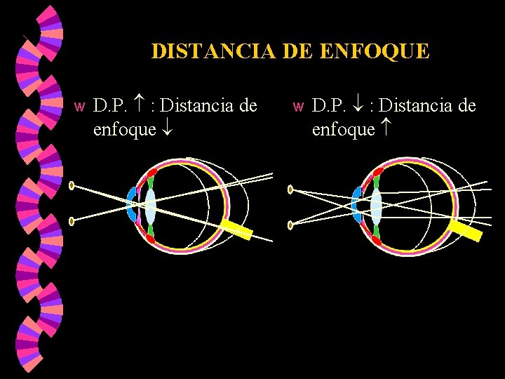 DISTANCIA DE ENFOQUE w D. P. : Distancia de enfoque DISTANCIA DE ENFOQUE w D. P. : Distancia de enfoque