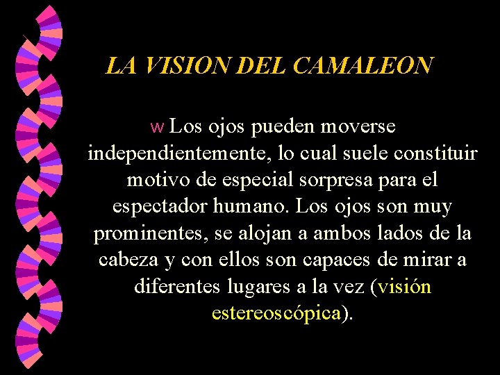 LA VISION DEL CAMALEON Los ojos pueden moverse independientemente, lo cual suele constituir motivo LA VISION DEL CAMALEON Los ojos pueden moverse independientemente, lo cual suele constituir motivo