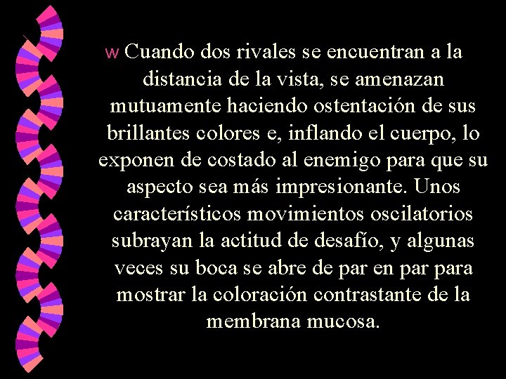 Cuando dos rivales se encuentran a la distancia de la vista, se amenazan mutuamente Cuando dos rivales se encuentran a la distancia de la vista, se amenazan mutuamente