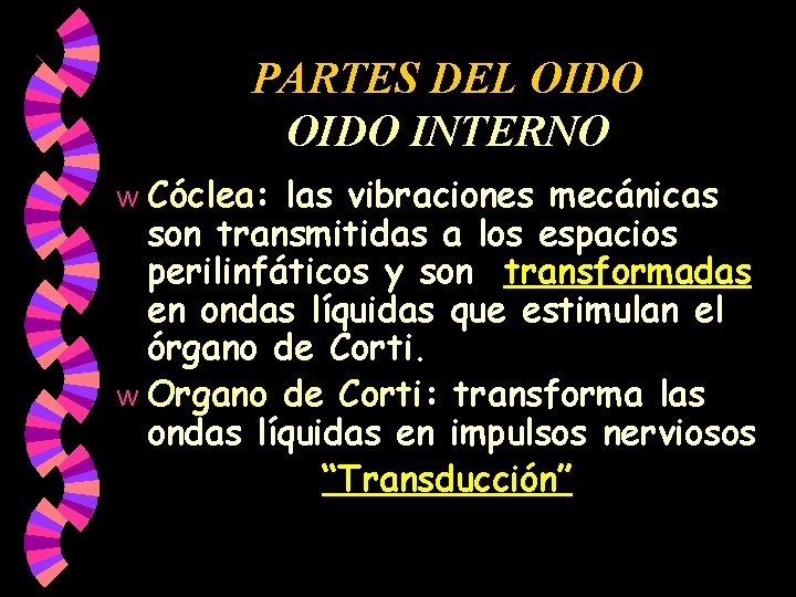 PARTES DEL OIDO INTERNO Cóclea: las vibraciones mecánicas son transmitidas a los espacios perilinfáticos PARTES DEL OIDO INTERNO Cóclea: las vibraciones mecánicas son transmitidas a los espacios perilinfáticos