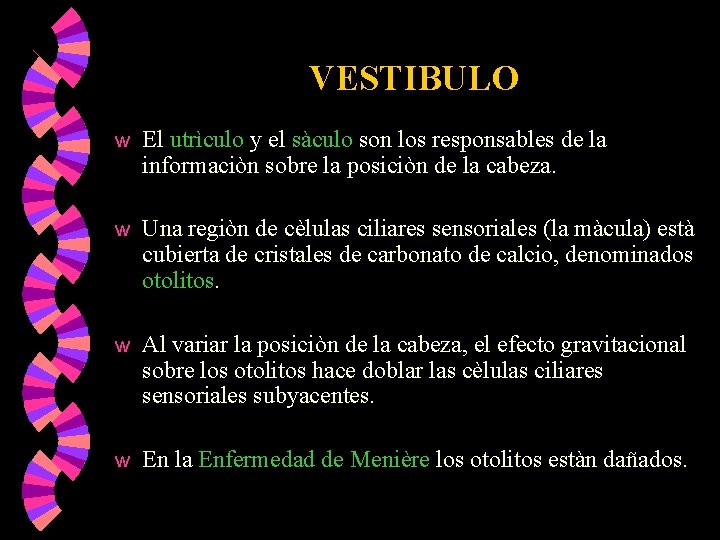 VESTIBULO w El utrìculo y el sàculo son los responsables de la informaciòn sobre VESTIBULO w El utrìculo y el sàculo son los responsables de la informaciòn sobre