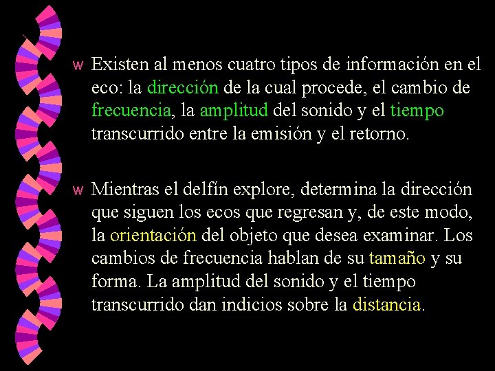 w Existen al menos cuatro tipos de información en el eco: la dirección de w Existen al menos cuatro tipos de información en el eco: la dirección de