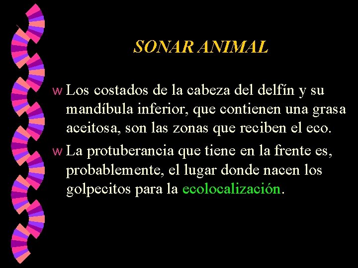 SONAR ANIMAL Los costados de la cabeza delfín y su mandíbula inferior, que contienen SONAR ANIMAL Los costados de la cabeza delfín y su mandíbula inferior, que contienen