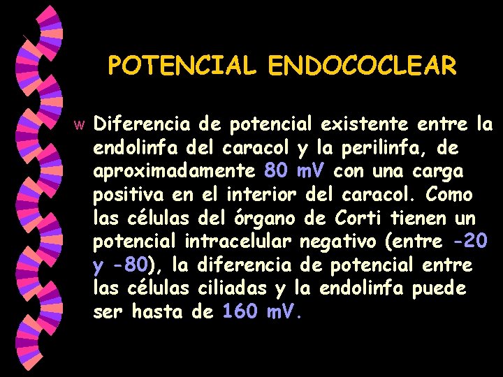 POTENCIAL ENDOCOCLEAR w Diferencia de potencial existente entre la endolinfa del caracol y la POTENCIAL ENDOCOCLEAR w Diferencia de potencial existente entre la endolinfa del caracol y la