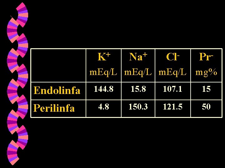K+ Na+ Cl- Pr- m. Eq/L mg% Endolinfa Perilinfa 144. 8 15. 8 107. K+ Na+ Cl- Pr- m. Eq/L mg% Endolinfa Perilinfa 144. 8 15. 8 107.