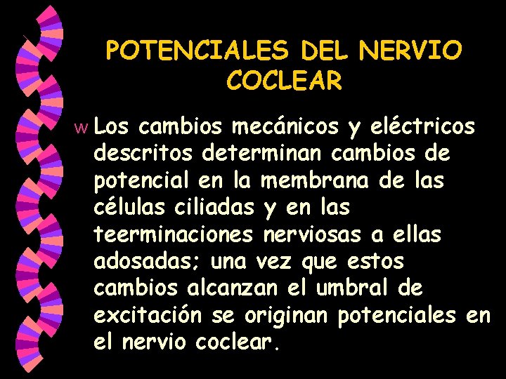POTENCIALES DEL NERVIO COCLEAR w Los cambios mecánicos y eléctricos descritos determinan cambios de POTENCIALES DEL NERVIO COCLEAR w Los cambios mecánicos y eléctricos descritos determinan cambios de