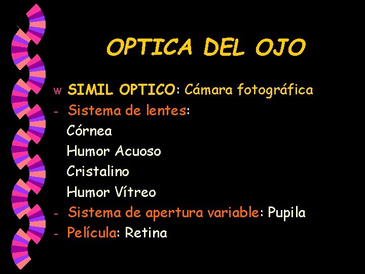 OPTICA DEL OJO SIMIL OPTICO: Cámara fotográfica - Sistema de lentes: Córnea Humor Acuoso OPTICA DEL OJO SIMIL OPTICO: Cámara fotográfica - Sistema de lentes: Córnea Humor Acuoso