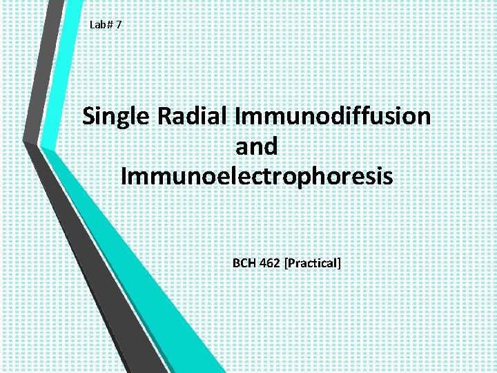 Lab# 7 Single Radial Immunodiffusion and Immunoelectrophoresis BCH 462 [Practical] 