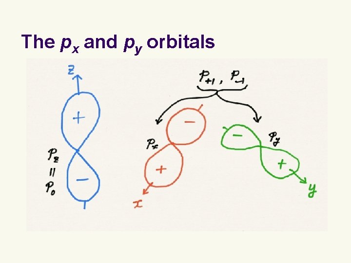 The px and py orbitals The px and py orbitals