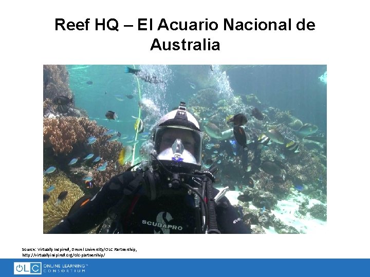 Reef HQ – El Acuario Nacional de Australia Source: Virtually Inspired, Drexel University/OLC Partnership,