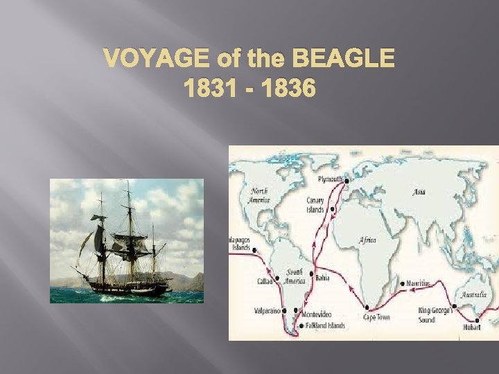 VOYAGE of the BEAGLE 1831 - 1836 