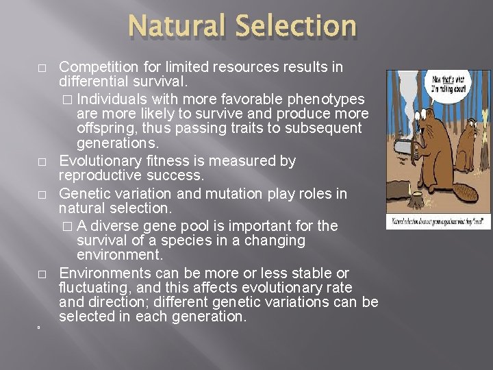 Natural Selection � � � Competition for limited resources results in differential survival. �