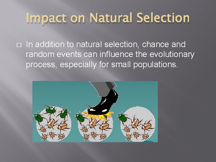 Impact on Natural Selection � In addition to natural selection, chance and random events