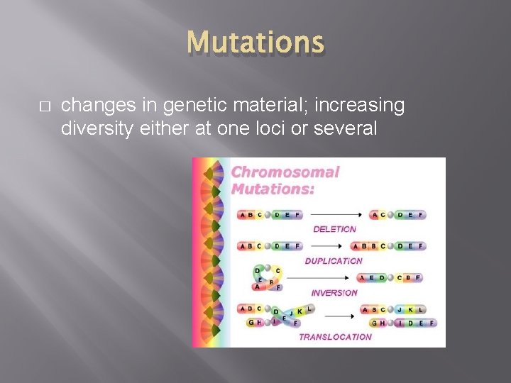 Mutations � changes in genetic material; increasing diversity either at one loci or several