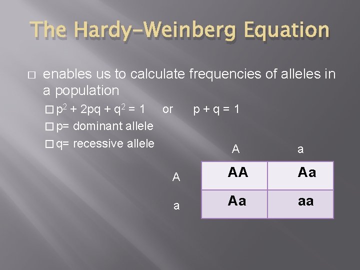 The Hardy-Weinberg Equation � enables us to calculate frequencies of alleles in a population