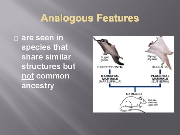 Analogous Features � are seen in species that share similar structures but not common