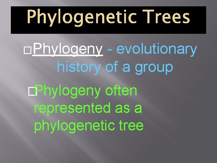 Phylogenetic Trees �Phylogeny - evolutionary history of a group �Phylogeny often represented as a