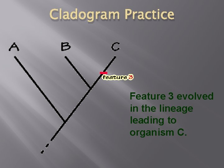 Cladogram Practice Feature 3 evolved in the lineage leading to organism C. 