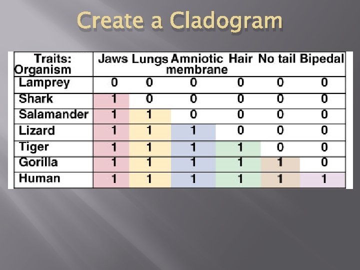 Create a Cladogram 