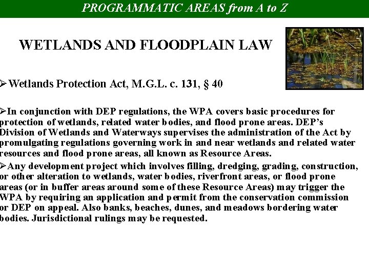 PROGRAMMATIC AREAS from A to Z WETLANDS AND FLOODPLAIN LAW ØWetlands Protection Act, M.