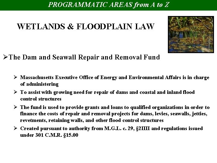 PROGRAMMATIC AREAS from A to Z WETLANDS & FLOODPLAIN LAW ØThe Dam and Seawall