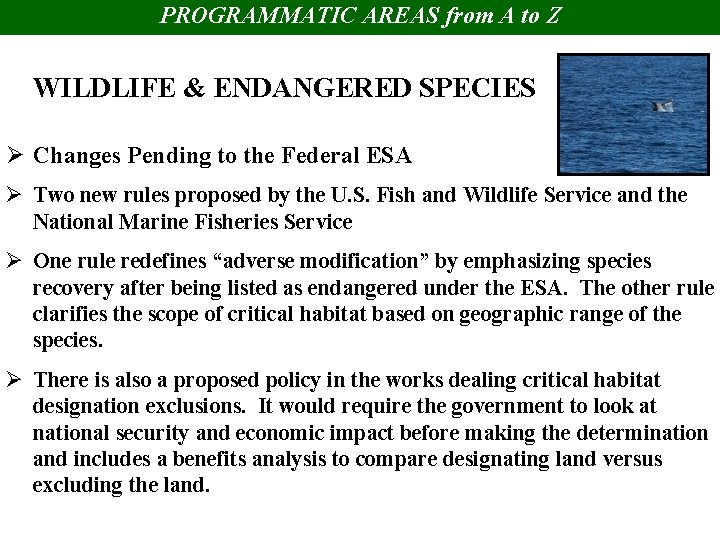 PROGRAMMATIC AREAS from A to Z WILDLIFE & ENDANGERED SPECIES Ø Changes Pending to