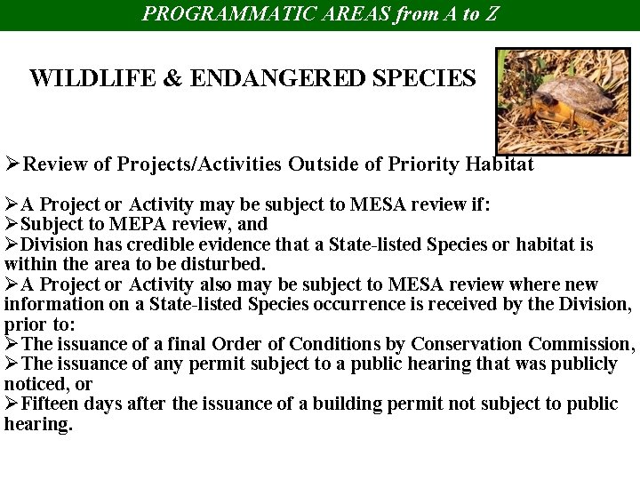 PROGRAMMATIC AREAS from A to Z WILDLIFE & ENDANGERED SPECIES ØReview of Projects/Activities Outside