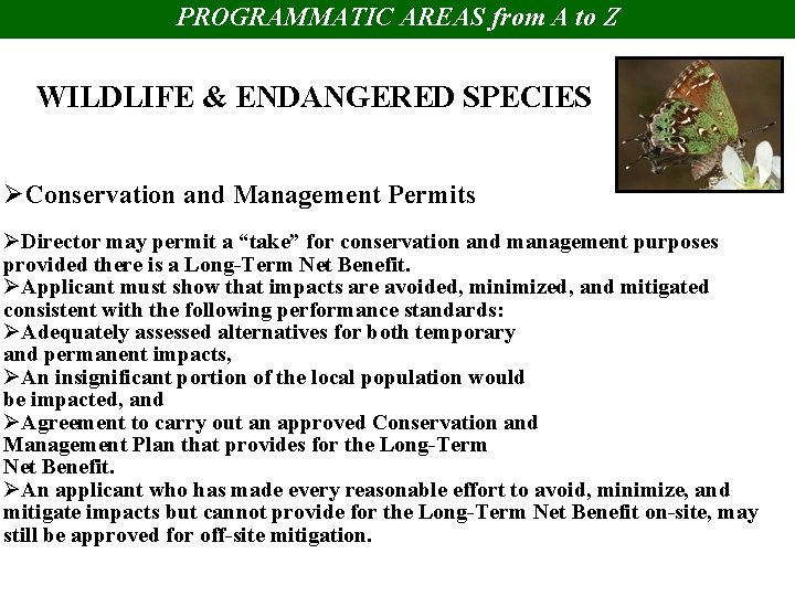 PROGRAMMATIC AREAS from A to Z WILDLIFE & ENDANGERED SPECIES ØConservation and Management Permits