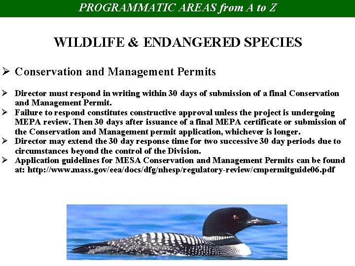 PROGRAMMATIC AREAS from A to Z WILDLIFE & ENDANGERED SPECIES Ø Conservation and Management