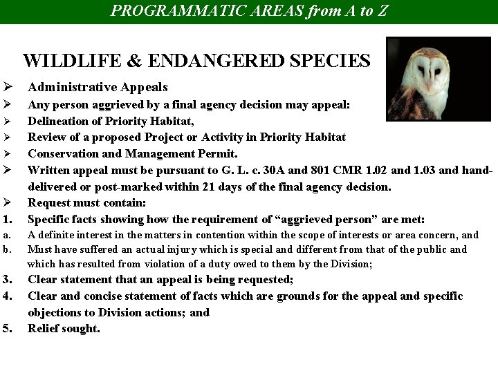 PROGRAMMATIC AREAS from A to Z WILDLIFE & ENDANGERED SPECIES Ø Administrative Appeals Ø