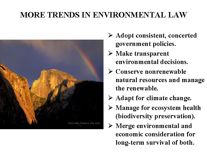 MORE TRENDS IN ENVIRONMENTAL LAW Ø Adopt consistent, concerted government policies. Ø Make transparent