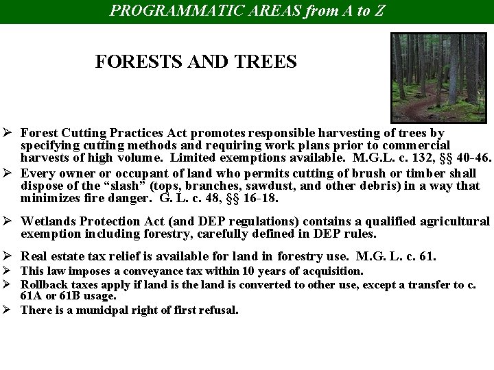 PROGRAMMATIC AREAS from A to Z FORESTS AND TREES Ø Forest Cutting Practices Act