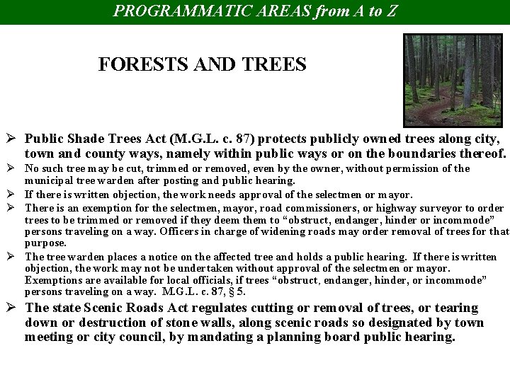 PROGRAMMATIC AREAS from A to Z FORESTS AND TREES Ø Public Shade Trees Act