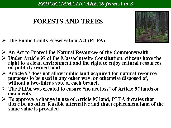 PROGRAMMATIC AREAS from A to Z FORESTS AND TREES Ø The Public Lands Preservation