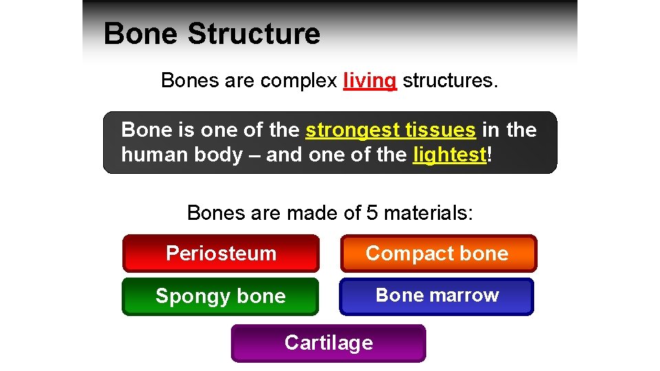 Bone Structure Bones are complex living structures. Bone is one of the strongest tissues