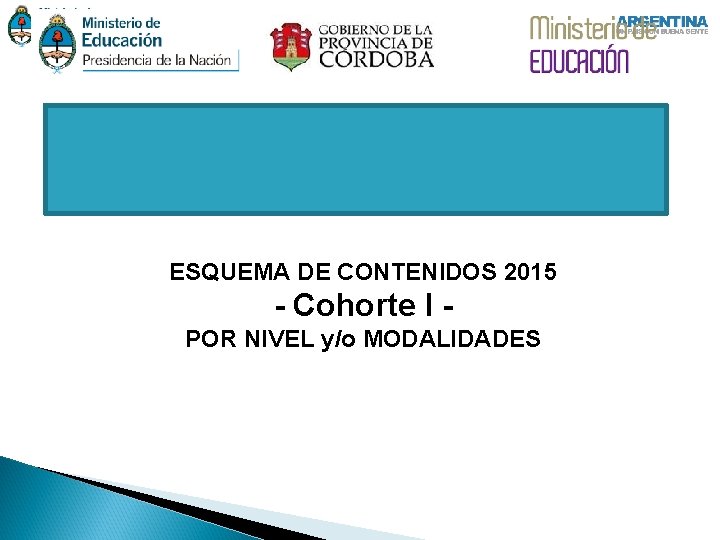 ESQUEMA DE CONTENIDOS 2015 - Cohorte I POR NIVEL y/o MODALIDADES 