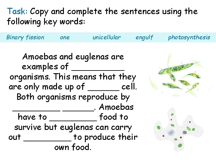 Task: Copy and complete the sentences using the following key words: Binary fission one