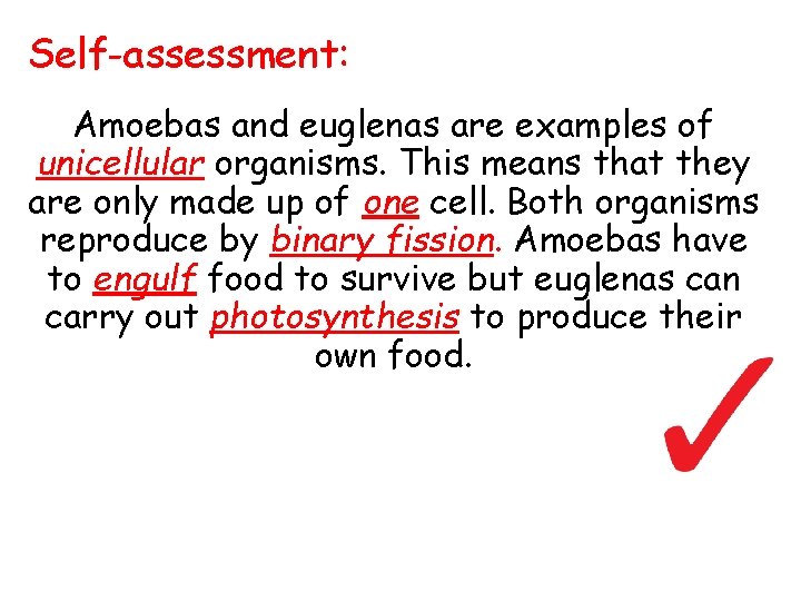 Self-assessment: Amoebas and euglenas are examples of unicellular organisms. This means that they are