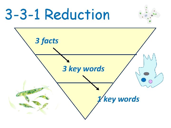 3 -3 -1 Reduction 3 facts 3 key words 1 key words 