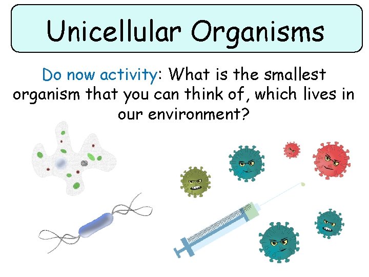 Unicellular Organisms Do now activity: What is the smallest organism that you can think