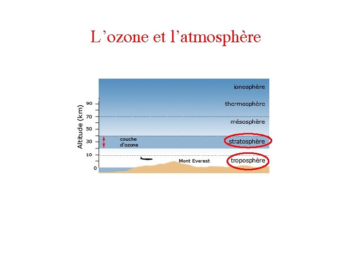 L’ozone et l’atmosphère 