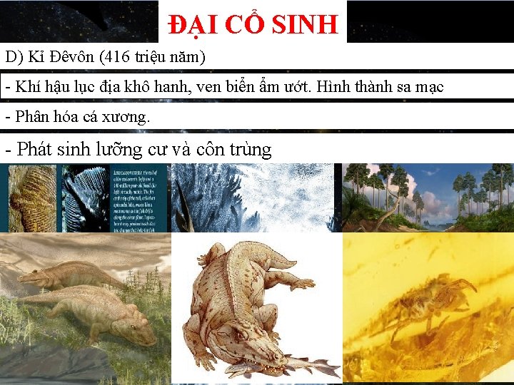 ĐẠI CỔ SINH D) Kỉ Đêvôn (416 triệu năm) - Khí hậu lục địa