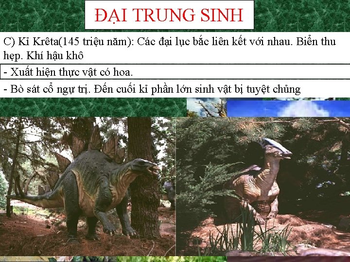 ĐẠI TRUNG SINH C) Kỉ Krêta(145 triệu năm): Các đại lục bắc liên kết