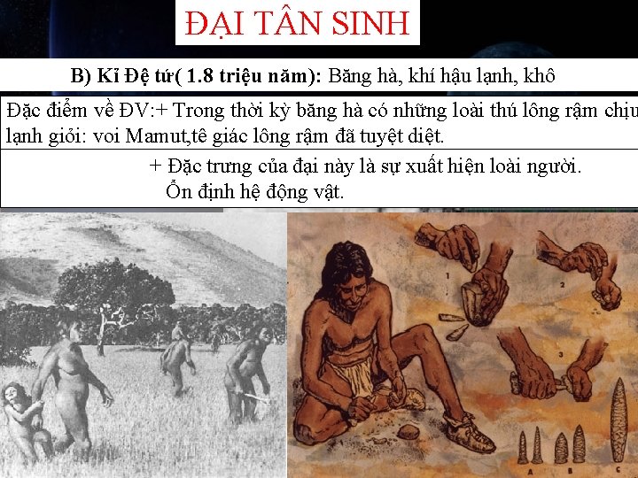 ĐẠI T N SINH B) Kỉ Đệ tứ( 1. 8 triệu năm): Băng hà,