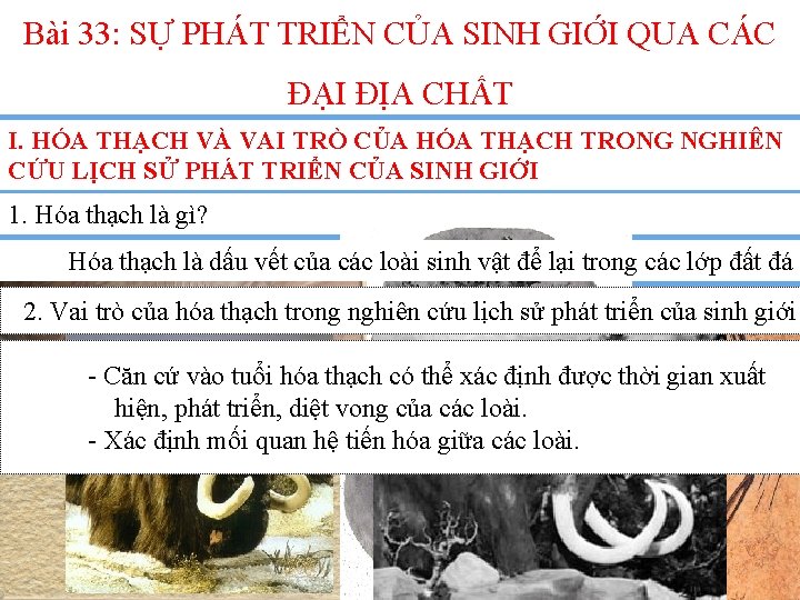 Bài 33: SỰ PHÁT TRIỂN CỦA SINH GIỚI QUA CÁC ĐẠI ĐỊA CHẤT I.