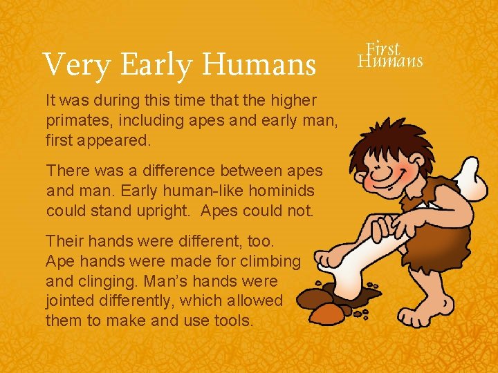 Very Early Humans It was during this time that the higher primates, including apes