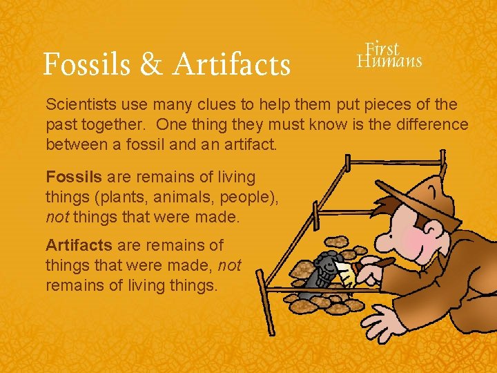 Fossils & Artifacts Scientists use many clues to help them put pieces of the